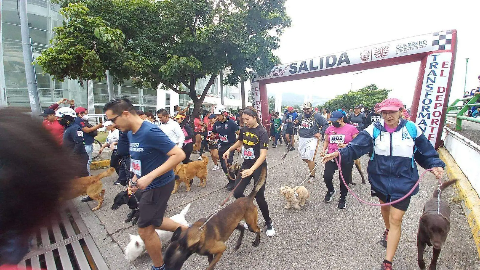 carrera guau1